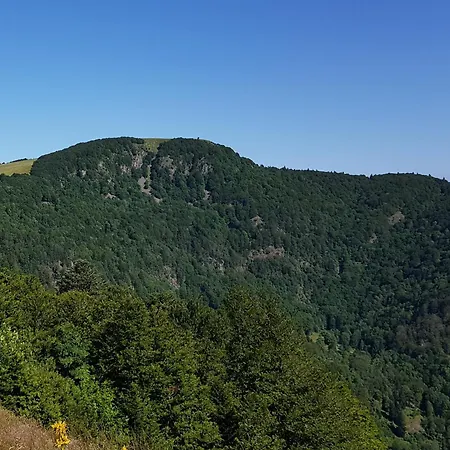Nyaraló Maison Familiale Jusqu'a 8 Personnes Proche Ballon D'alsace 68