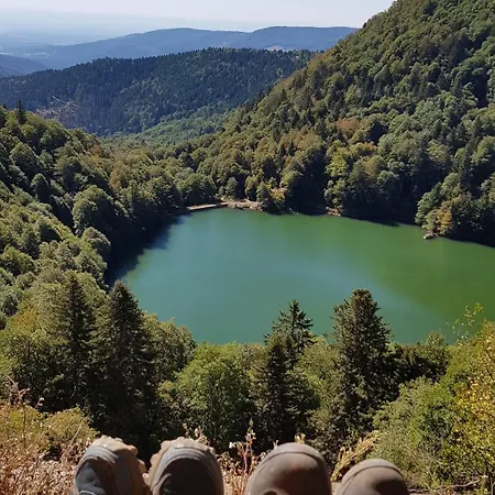 Nyaraló Maison Familiale Jusqu'a 8 Personnes Proche Ballon D'alsace 68
