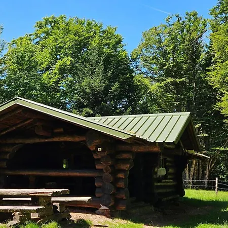 Maison Familiale Jusqu'a 8 Personnes Proche Ballon D'alsace 68 Nyaraló Sewen